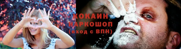 гидра Михайловка