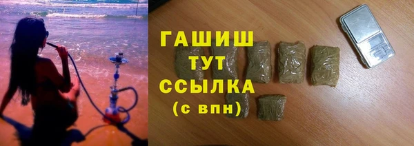 гидра Михайловка