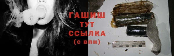 гидра Михайловка