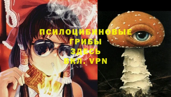 стаф Михайловск