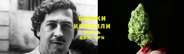 мяу мяу кристалл Аша