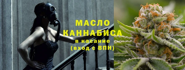 гидра Михайловка