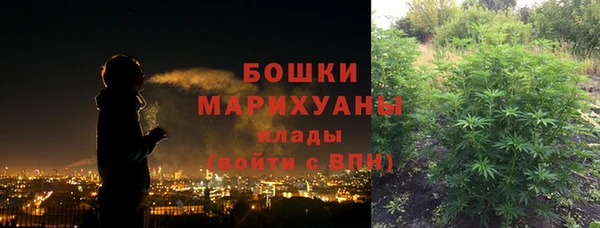 гидра Михайловка