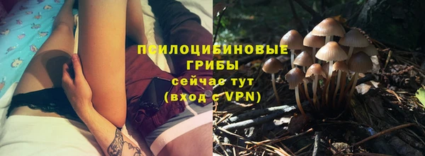стаф Михайловск
