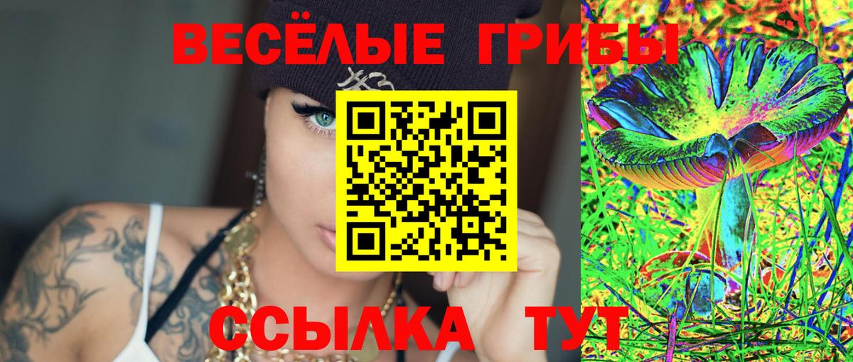 Галлюциногенные грибы Psilocybine cubensis  Вход с VPN  Ртищево 