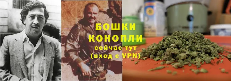 где купить наркотик  Ртищево  Бошки Шишки LSD WEED 